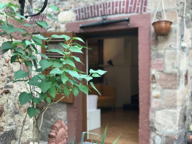 Buedinger Hof Daire Weinheim Dış mekan fotoğraf