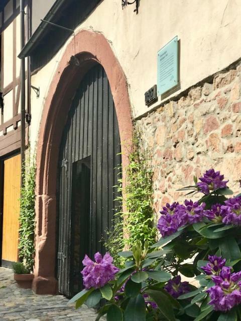 Buedinger Hof Daire Weinheim Dış mekan fotoğraf